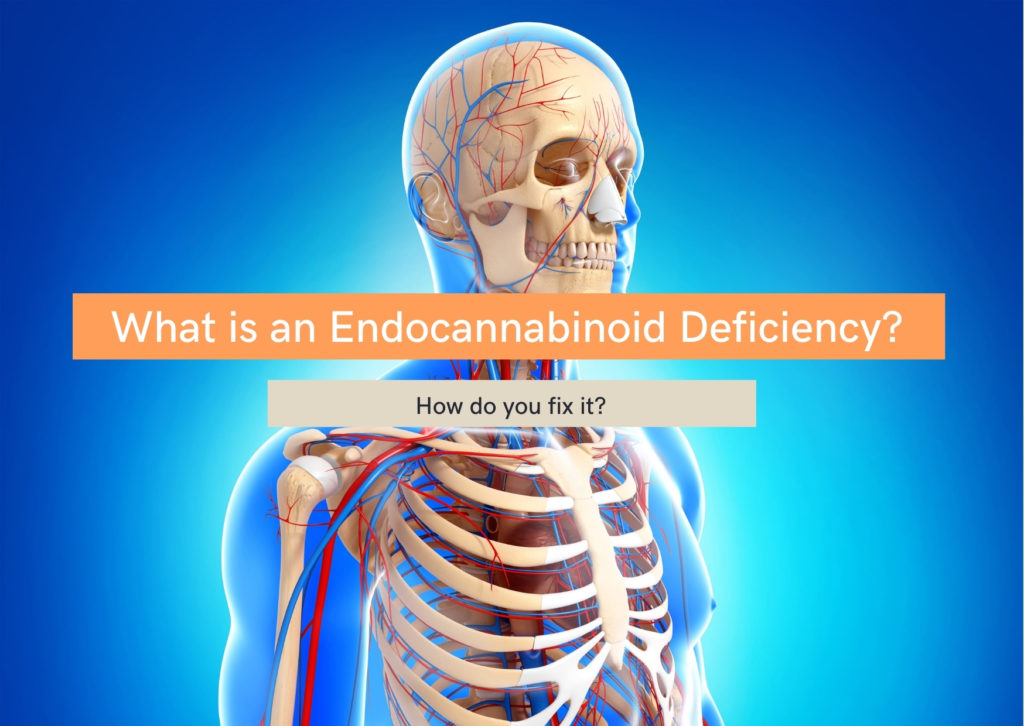 What is an endocannabinoid deficiency