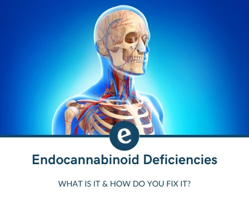 endocannabinoid deficiency
