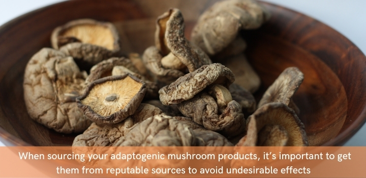 Do adaptogenic mushrooms get you high