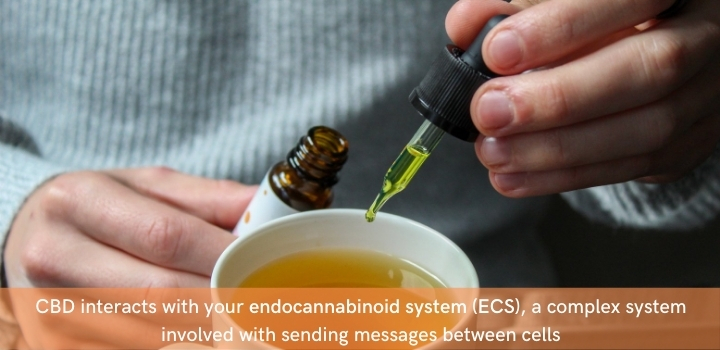 How can CBD oil help with endometriosis symptoms