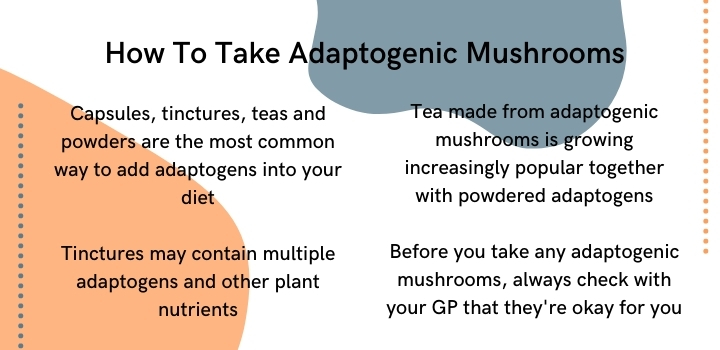 How to take adaptogenic mushrooms