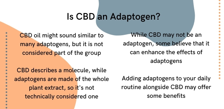 Is CBD an adaptogen