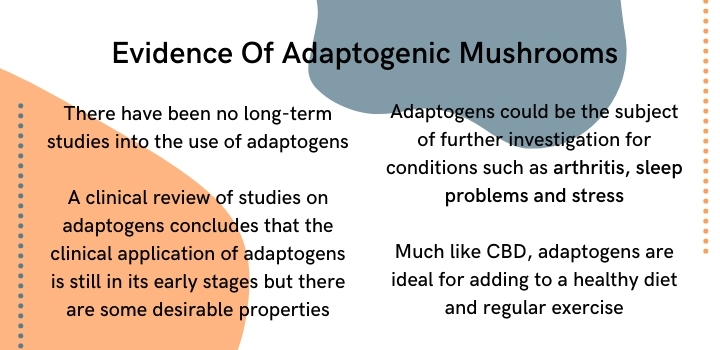 evidence adaptogenic mushrooms