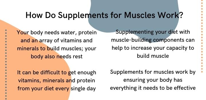 How do supplements for muscles work