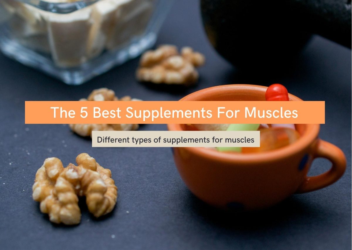 Best supplements for muscles