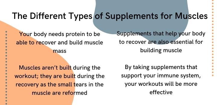 Different types of supplements for muscles