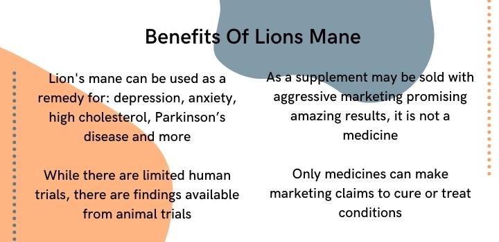 Benefits of lions mane