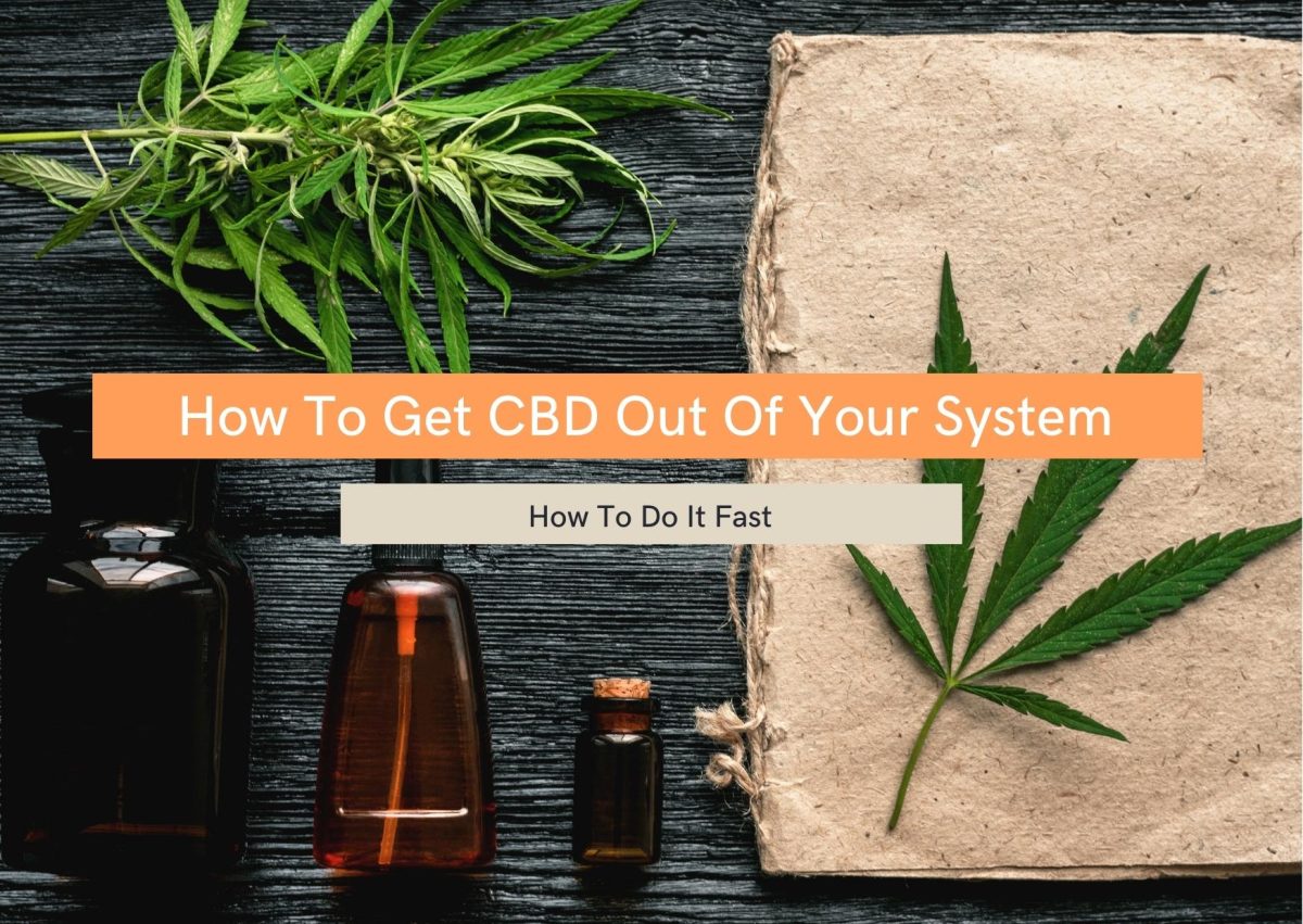 How To Get CBD Out Of Your System – Fast