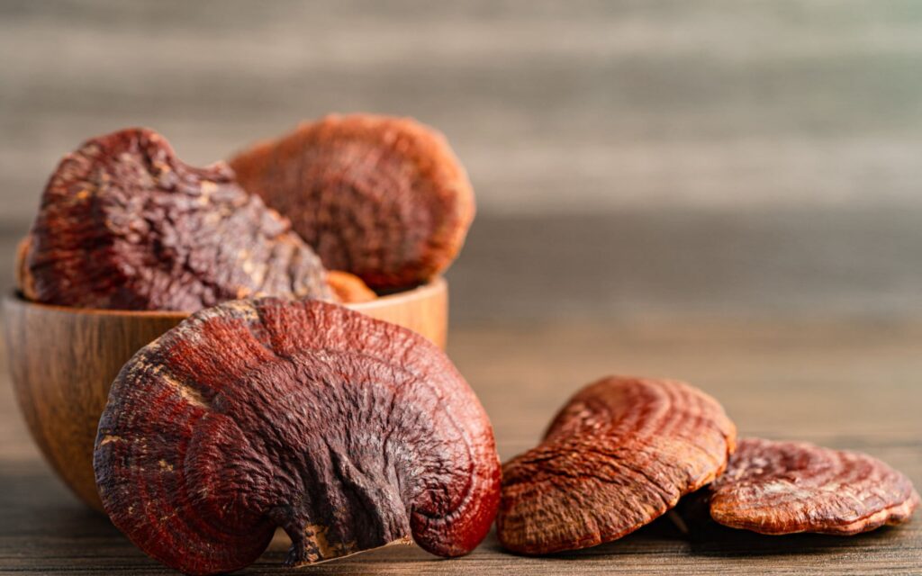 How To Use Reishi Mushroom For Sleep