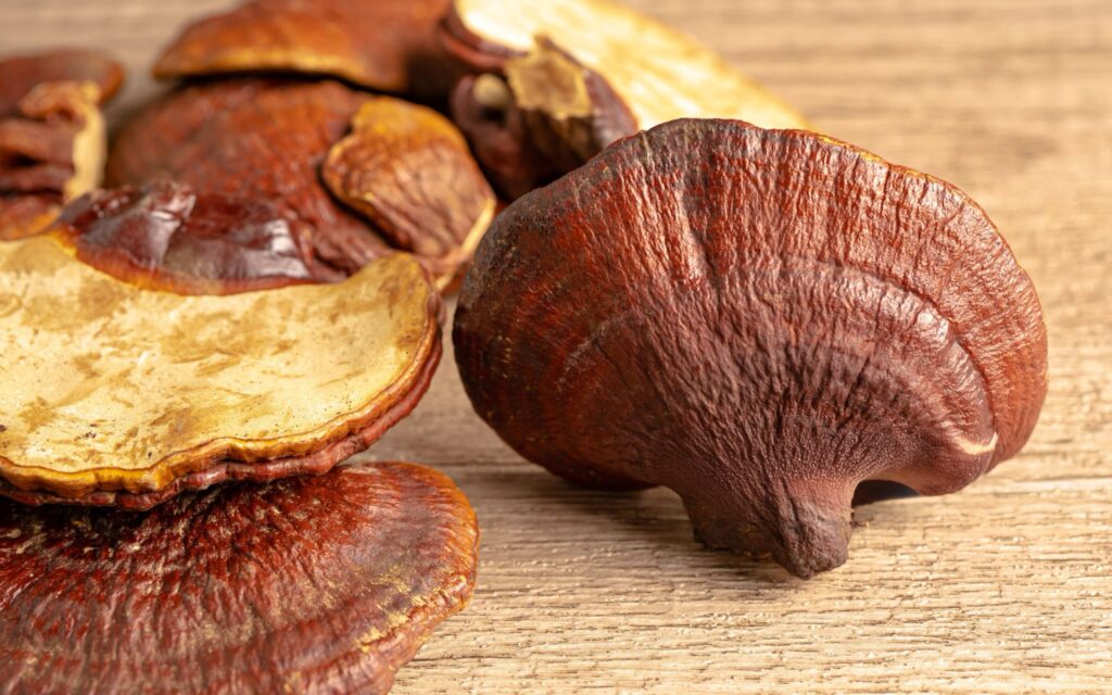 Reishi Mushroom: Benefits, Dosage & Side Effects