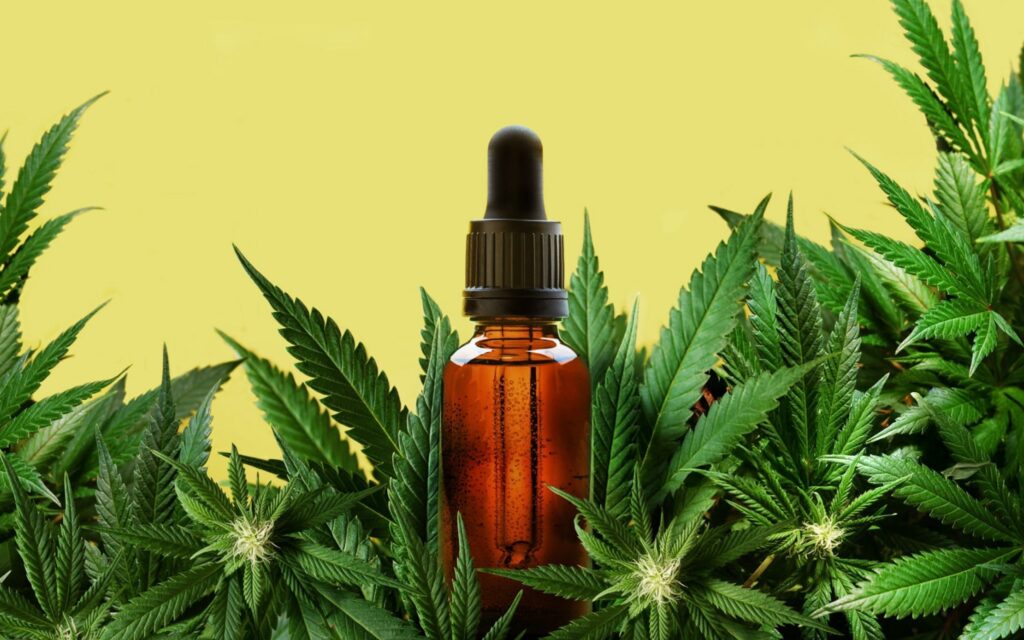 Why is CBD Oil So Expensive? 7 Factors that Affect CBD Oil Prices