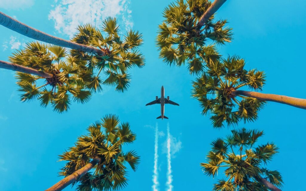 Flying with CBD Oil: Tips & Legality