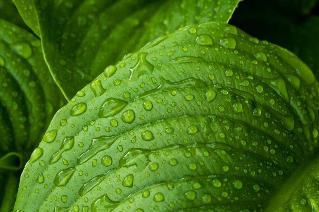 What is CBD Bioavailability & Why Does it Matter?