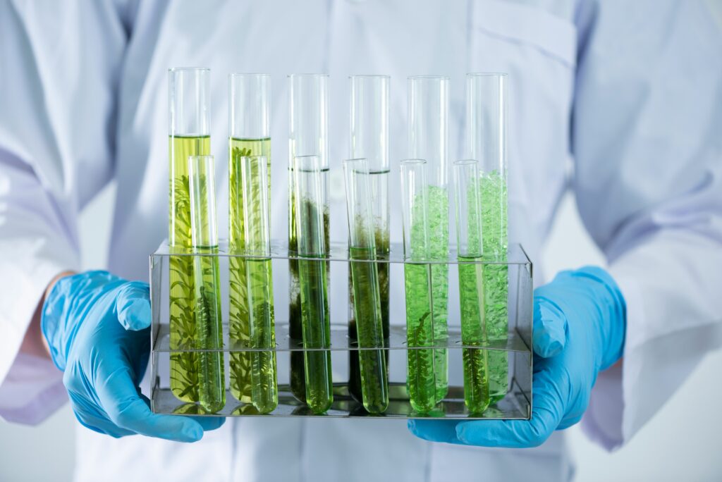 The scientist test the natural product extract