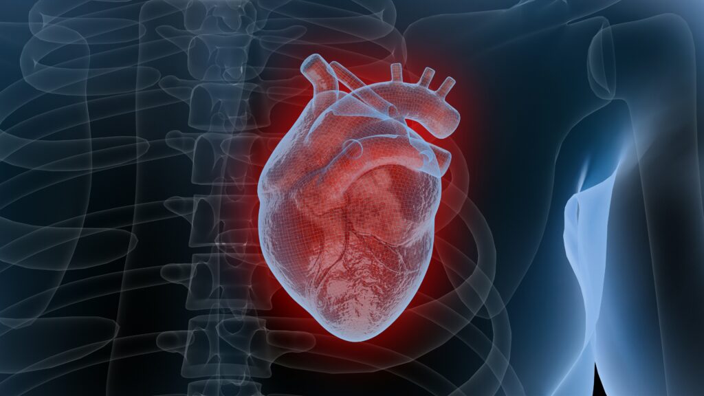 a human body with a heart in the middle of it