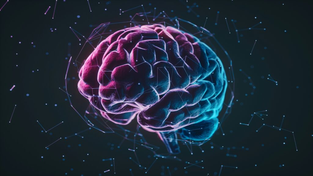 digital human brain with connections