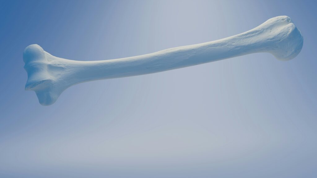 a white bone floating in the air against blue sky