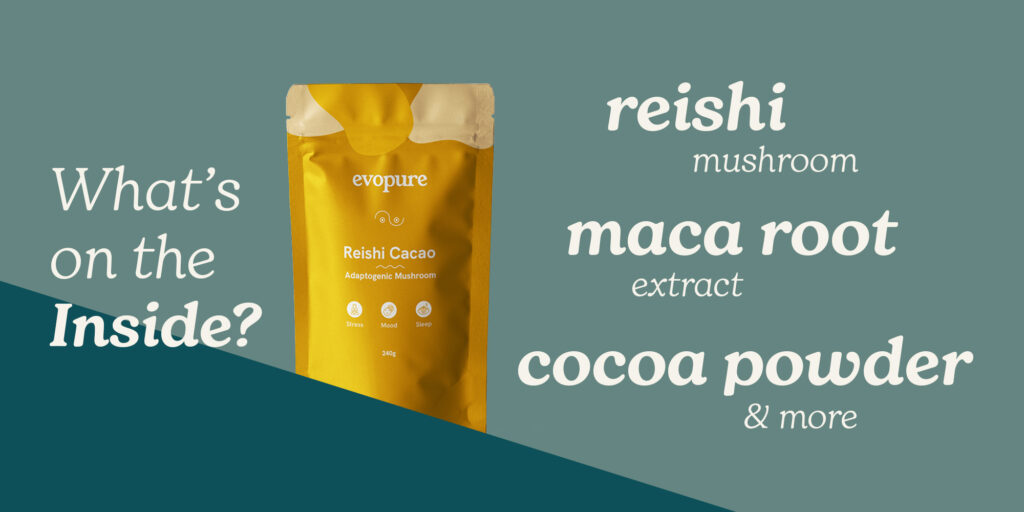 Evopure Reishi Cacao supplement package with text on a teal landscape background