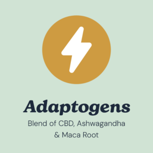 Energy Icon - Ingredients of CBD, Ashwagandha and Maca Root