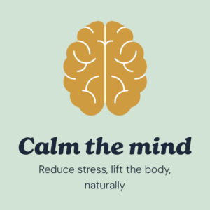 Mind Icon - Calm the mind