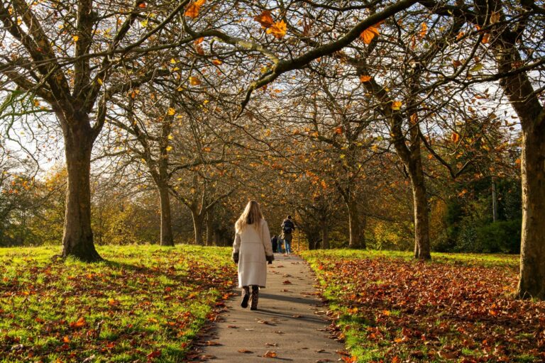 A woman walking along a tree-lined park path covered in autumn leaves