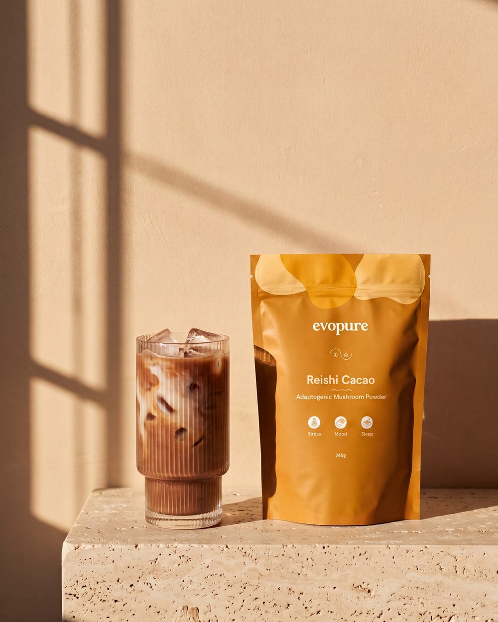 Evopure Reishi Cacao on a sunlit stone plinth